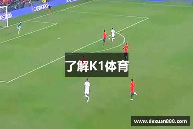 了解K1体育